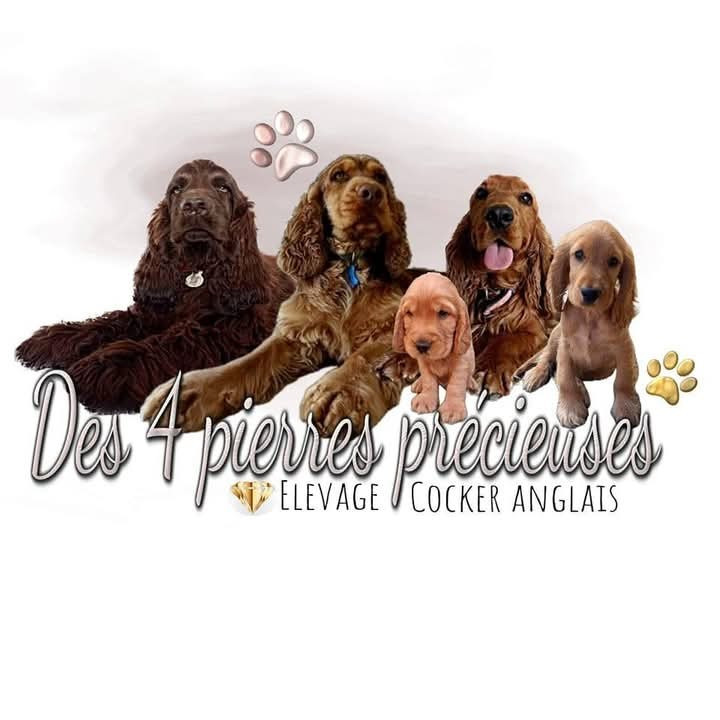 des Quatre Pierres Précieuses